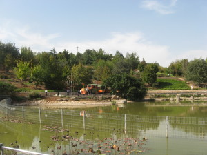 Jerusalem Botanical Gardens